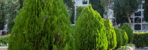 Sant Vicenç dels Horts